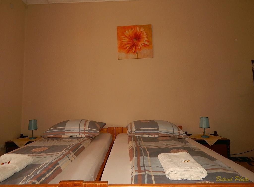Sator-Hegy Vendeghaz Hotel Abaújszántó Eksteriør billede